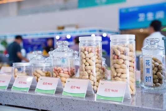 kaiyun网站：展示创新成果共线青岛首届种业博览会在青岛西海岸新区开幕(图1)