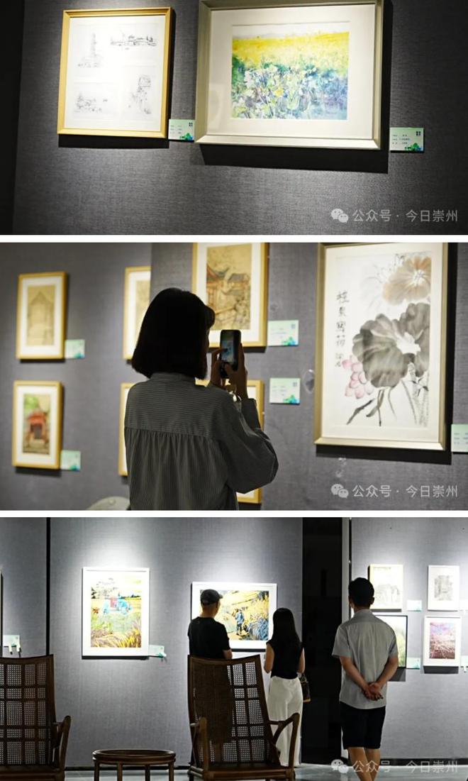 kaiyun入口：成都市文化馆展出2024年“画境崇州”美术作品展