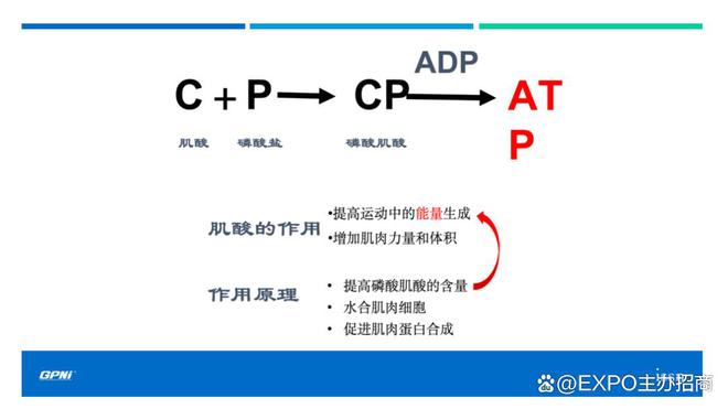 不容错过！2024深圳国际酒店餐饮展览会-HOTELEX展位火热预定中！(图11)