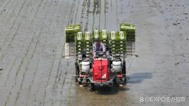 kaiyun网站：2024年中国(上海)自有品牌博览会涵盖工厂代工和OEM贴牌展览。(图9)