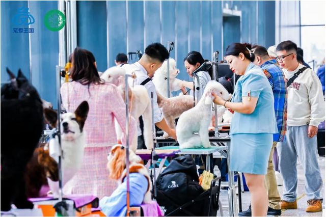 萌宠狂欢!宠爱王国2024CKU®年度派对在廊坊临空国际会展中心开幕(图4)