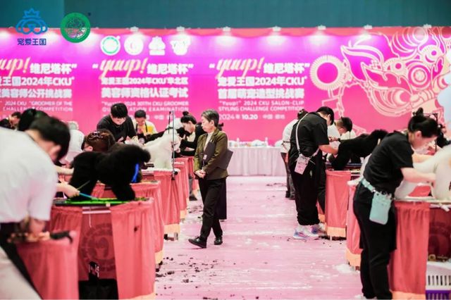 萌宠狂欢!宠爱王国2024CKU®年度派对在廊坊临空国际会展中心开幕(图3)