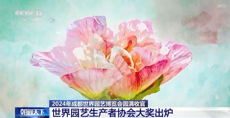 2024成都世界园艺博览会落幕这些绝美园区你都逛了吗？(图9)