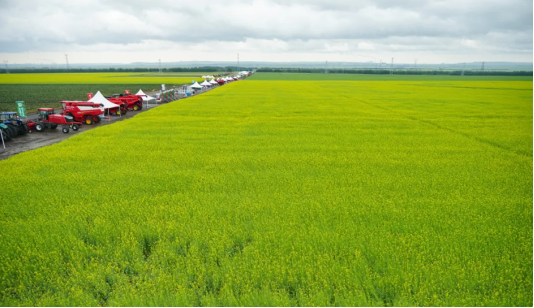 kaiyun入口：创新是中国农机的唯一出路——对“抄袭”坚决说不(图2)