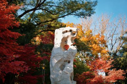 亮点剧透！itc保伦股份诚邀您参加2024中国国际应急管理展览会→(图3)