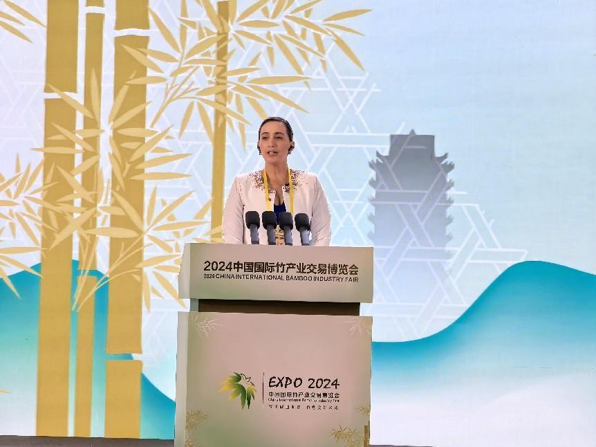 2024中国国际竹产业交易博览会在眉山青神开幕(图2)