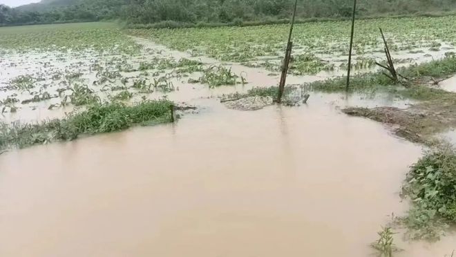 人与自然气候变化城乡食农种植丰年庆2024展览一览(图3)