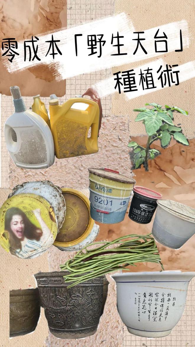 人与自然气候变化城乡食农种植丰年庆2024展览一览(图8)