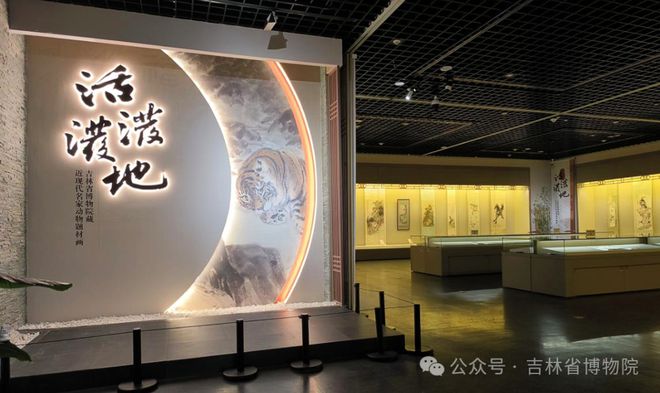 长春2025年1月最新展览汇总！(图3)