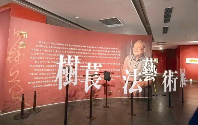 盘点：回顾2024书坛有哪些值得重温的重要展览（附展览资料）(图15)