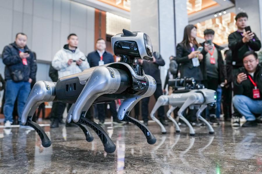 kaiyun入口：新华社记者带你听两会｜听“新”的活力(图10)