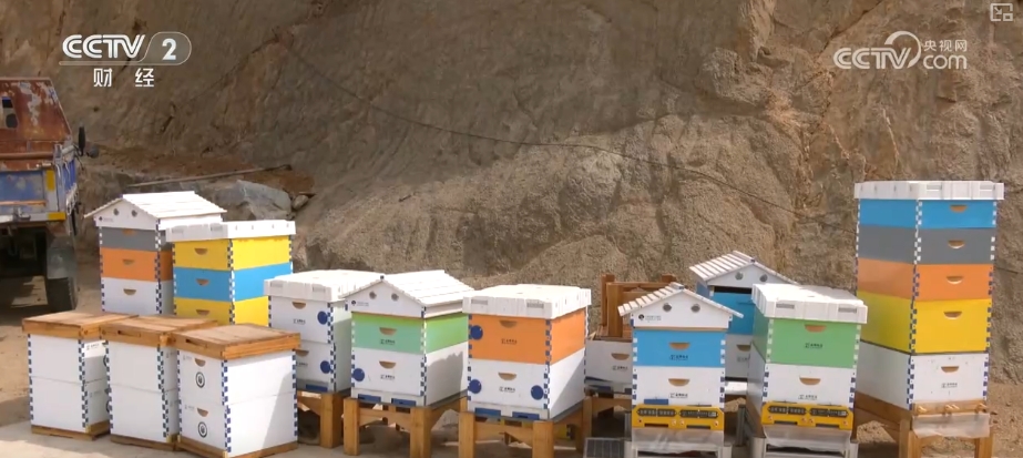 kaiyun入口：好“蜂”景蜜香飘海外！蜂产品外贸版图扩大出口强劲(图9)