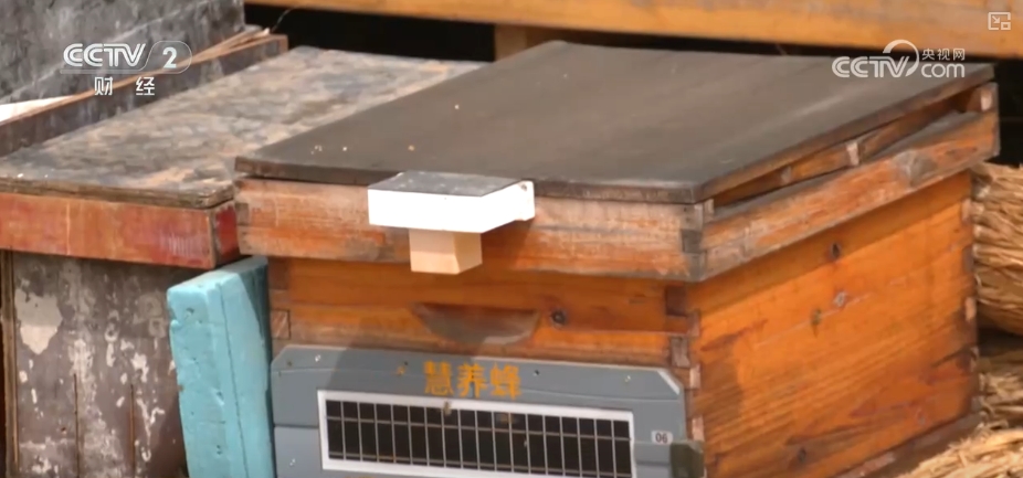 kaiyun入口：好“蜂”景蜜香飘海外！蜂产品外贸版图扩大出口强劲(图8)