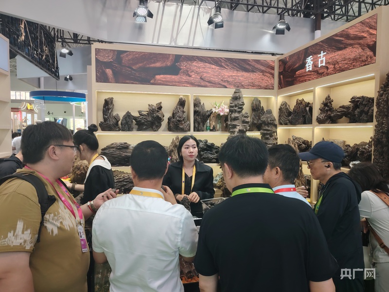 kaiyun：消博会观察：外企高管热议中国市场机遇开放合作成全球共识(图2)