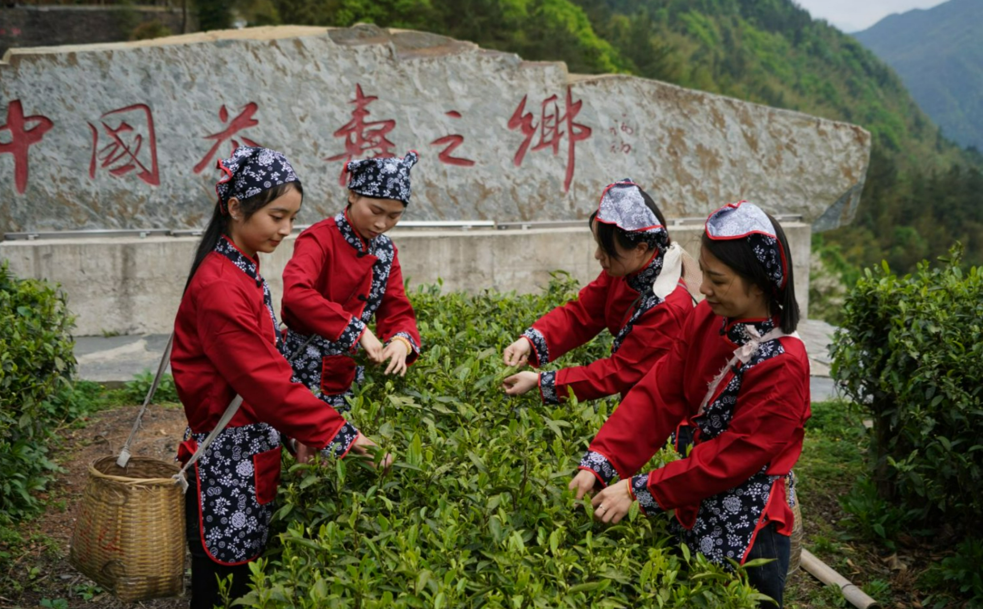 以茶为约湖南新化奉嘎山招募“乡村合伙人”(图4)