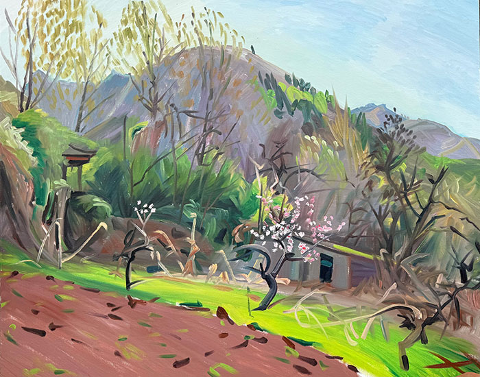 kaiyun：北京当代·艺术博览会2025亮点发布(图5)