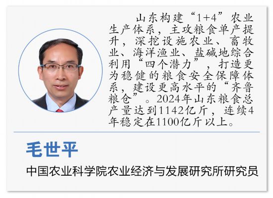 藏粮有方“齐鲁粮仓”更满更优(图9)