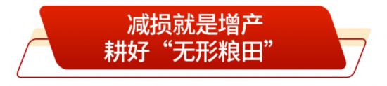 藏粮有方“齐鲁粮仓”更满更优(图4)