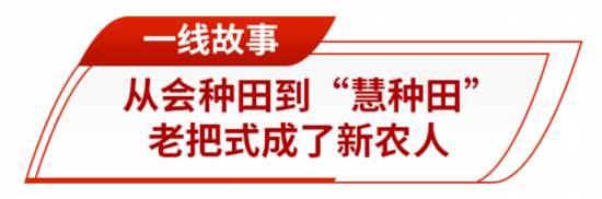 藏粮有方“齐鲁粮仓”更满更优(图7)