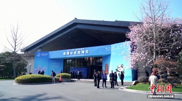 进博故事）进博携湖北机遇连全球(图3)
