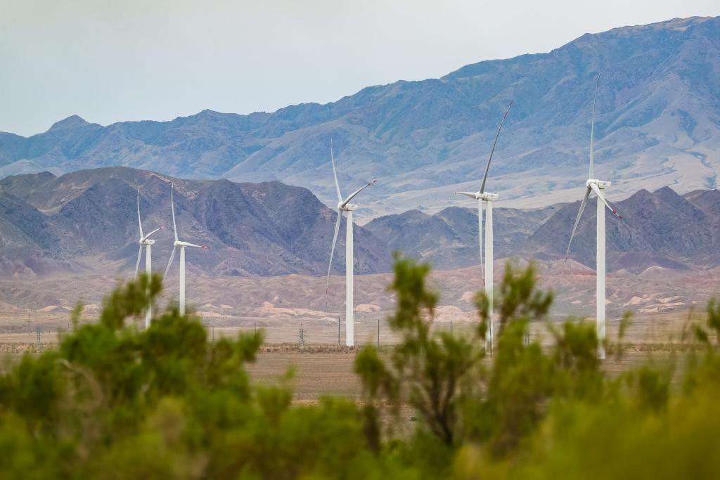 绿色新风拂丝路——中国中亚书写绿色发展新篇章(图1)