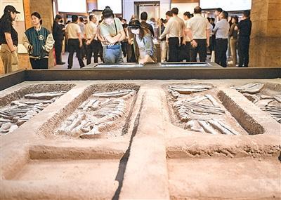 考古成果如何走出“象牙塔”