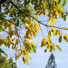 2024博览会时间表(图2)