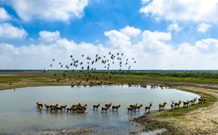 思想之光照亮奋进之路——以习近平同志为核心的党中央引领中国经济社会高质量发展迈向新境界(图4)