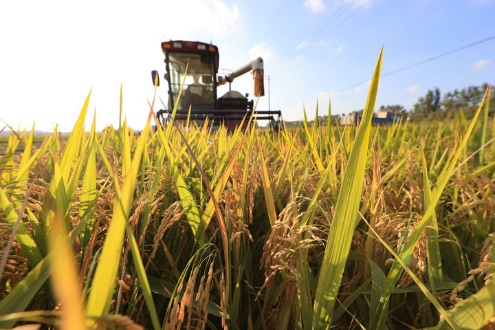 思想之光照亮奋进之路——以习近平同志为核心的党中央引领中国经济社会高质量发展迈向新境界(图11)