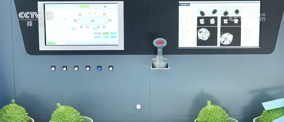 进博会“接力”广交会更多国家搭上中国对外开放“顺风车”(图3)