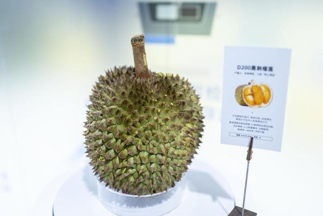 进博直击｜美食博览一场从全球农场到中国餐桌的舌尖旅行(图4)