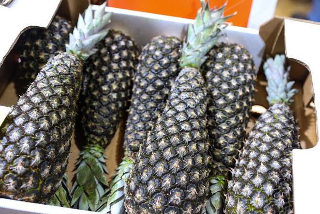 进博直击｜美食博览一场从全球农场到中国餐桌的舌尖旅行(图17)