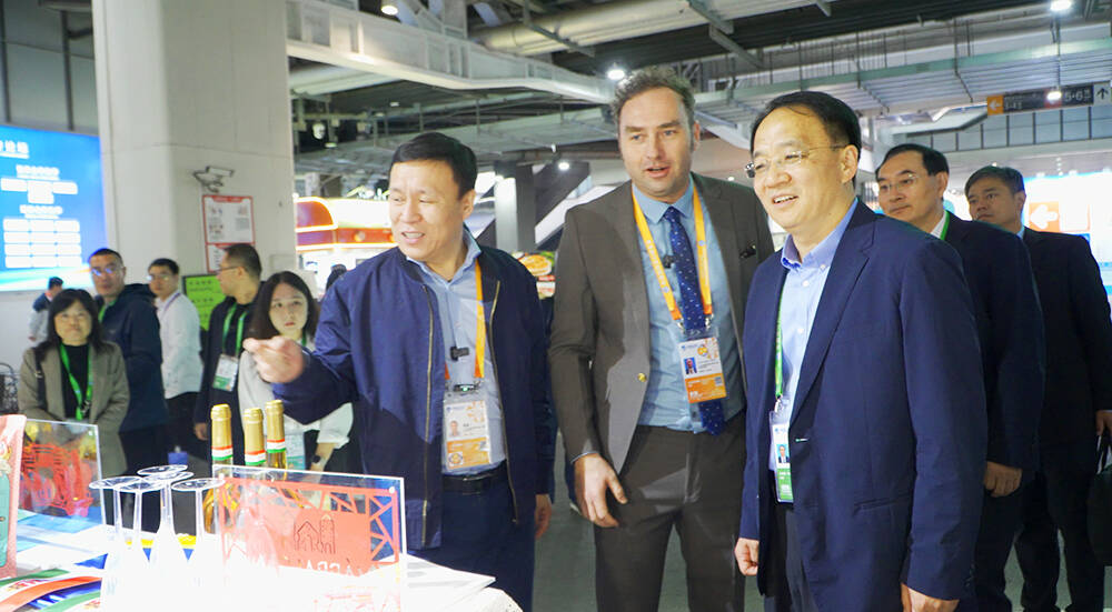 第八届进博会首次设立“魅力友城”专区德州与匈牙利皇宫堡展区亮相(图2)