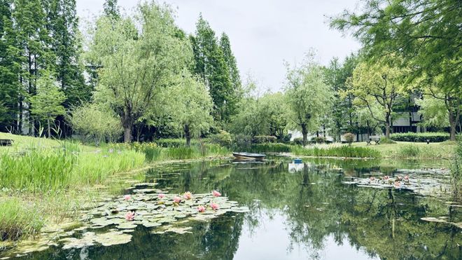 kaiyun入口：环境绝了！中式园林、水镜湖泊、欧式草坪、下沉式花园……这里都有！(图2)