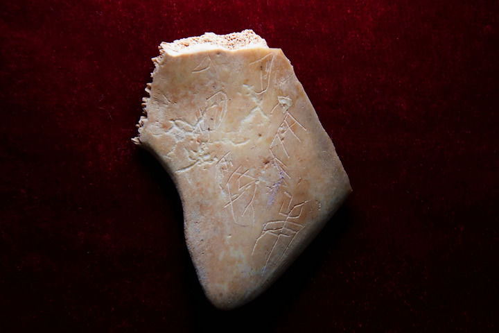 守护悠悠文脉探寻“何以中国”——陕西推动文物保护与活化利用新观察(图3)