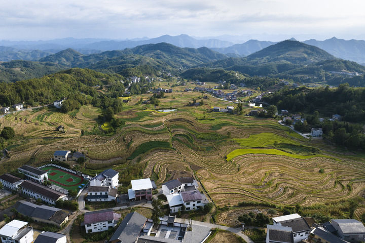 守护悠悠文脉探寻“何以中国”——陕西推动文物保护与活化利用新观察(图9)