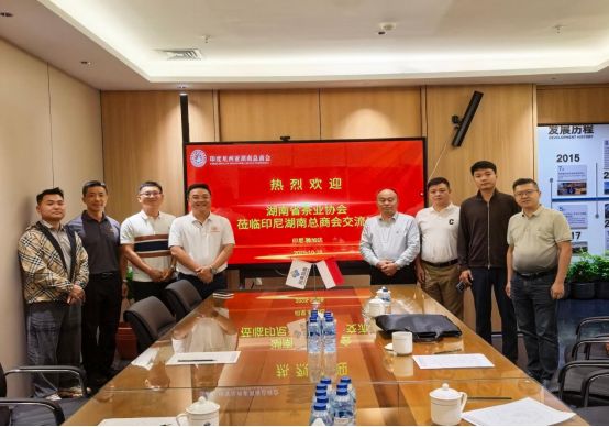 kaiyun：湖南组团参加2025中国（印尼）国际电商产业博览会后记(图4)