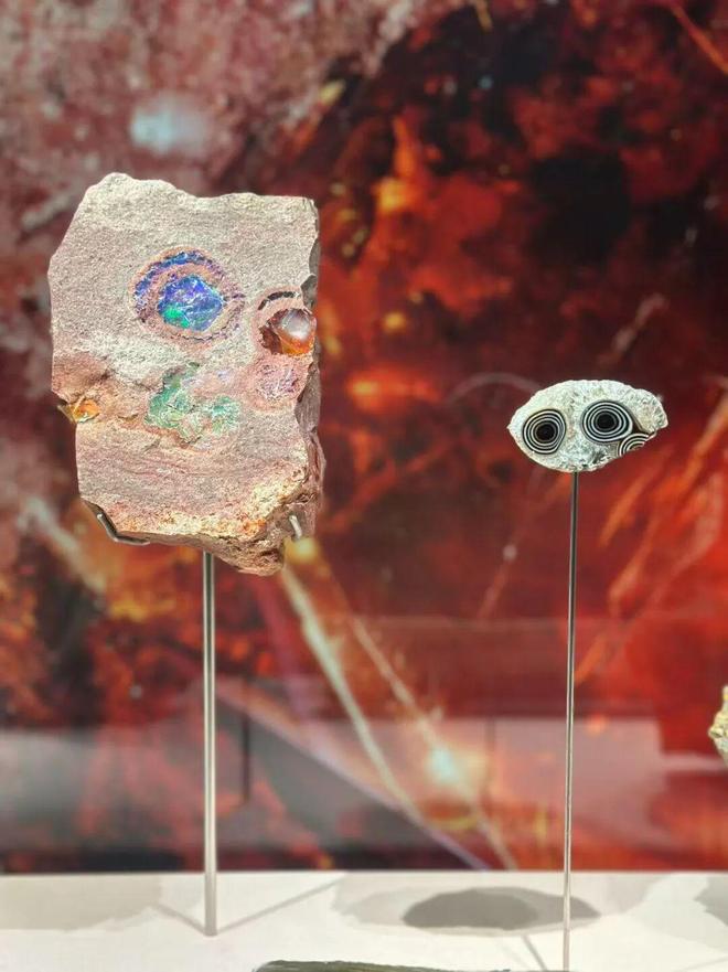 kaiyun：跟着藏家逛展览：矿石奇珍与她的百件珠宝(图6)