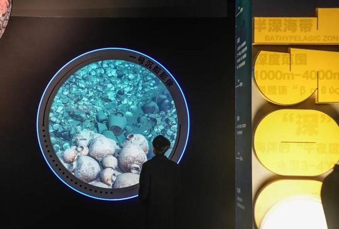 kaiyun入口：别错过！377组件南海沉船文物今起展出就在这里(图4)