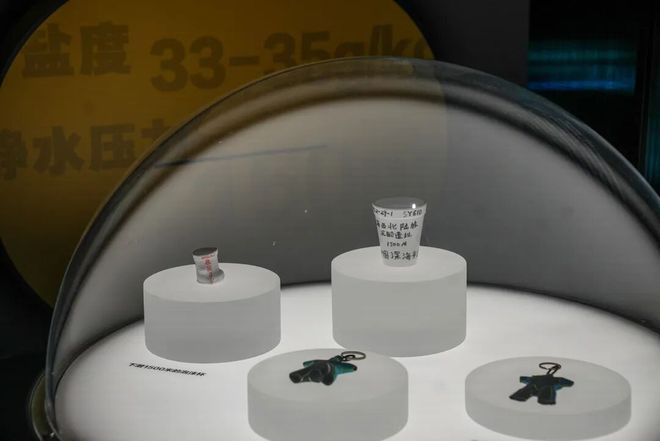 kaiyun入口：别错过！377组件南海沉船文物今起展出就在这里(图8)