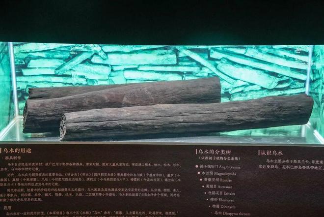 kaiyun入口：别错过！377组件南海沉船文物今起展出就在这里(图5)