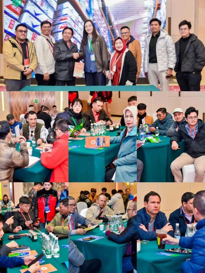 kaiyun入口：立足云南、辐射东南亚！2025绿色农药博览会暨云南农资双交会在昆明成功召开！(图4)