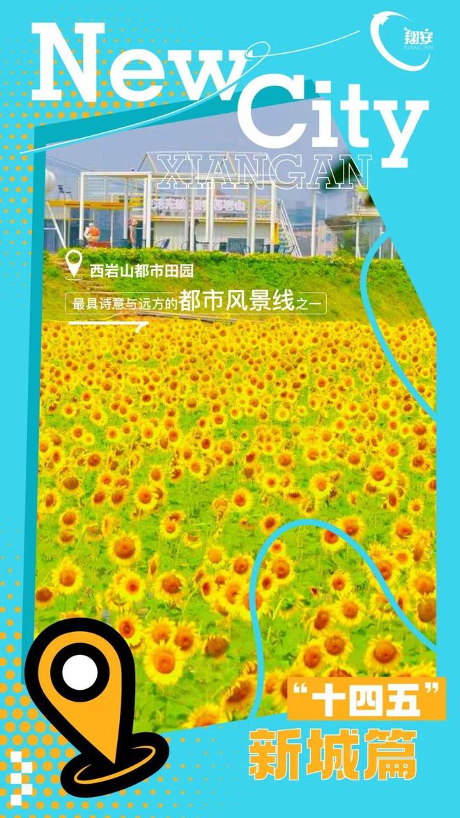 速览翔安新城这五年的“最”新变化(图7)