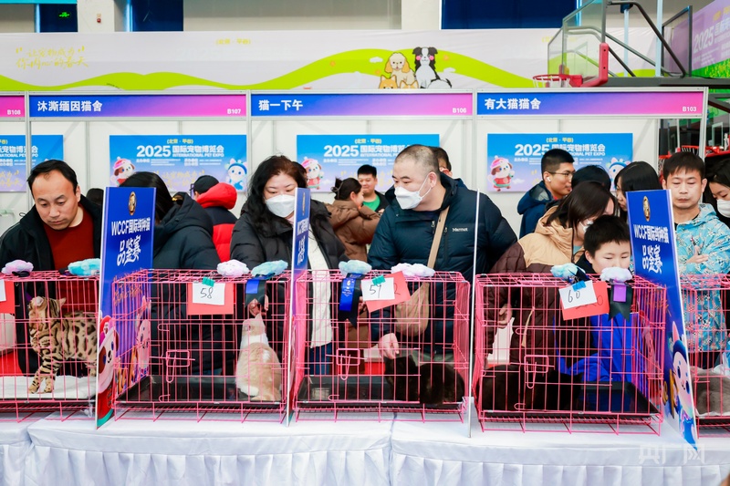 2025国际宠物博览会在北京平谷区开幕