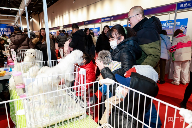 2025国际宠物博览会在北京平谷区开幕(图2)