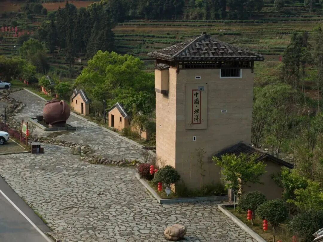 闽人智慧丨一杯坦洋工夫里的醇厚牵挂与富民产业(图2)