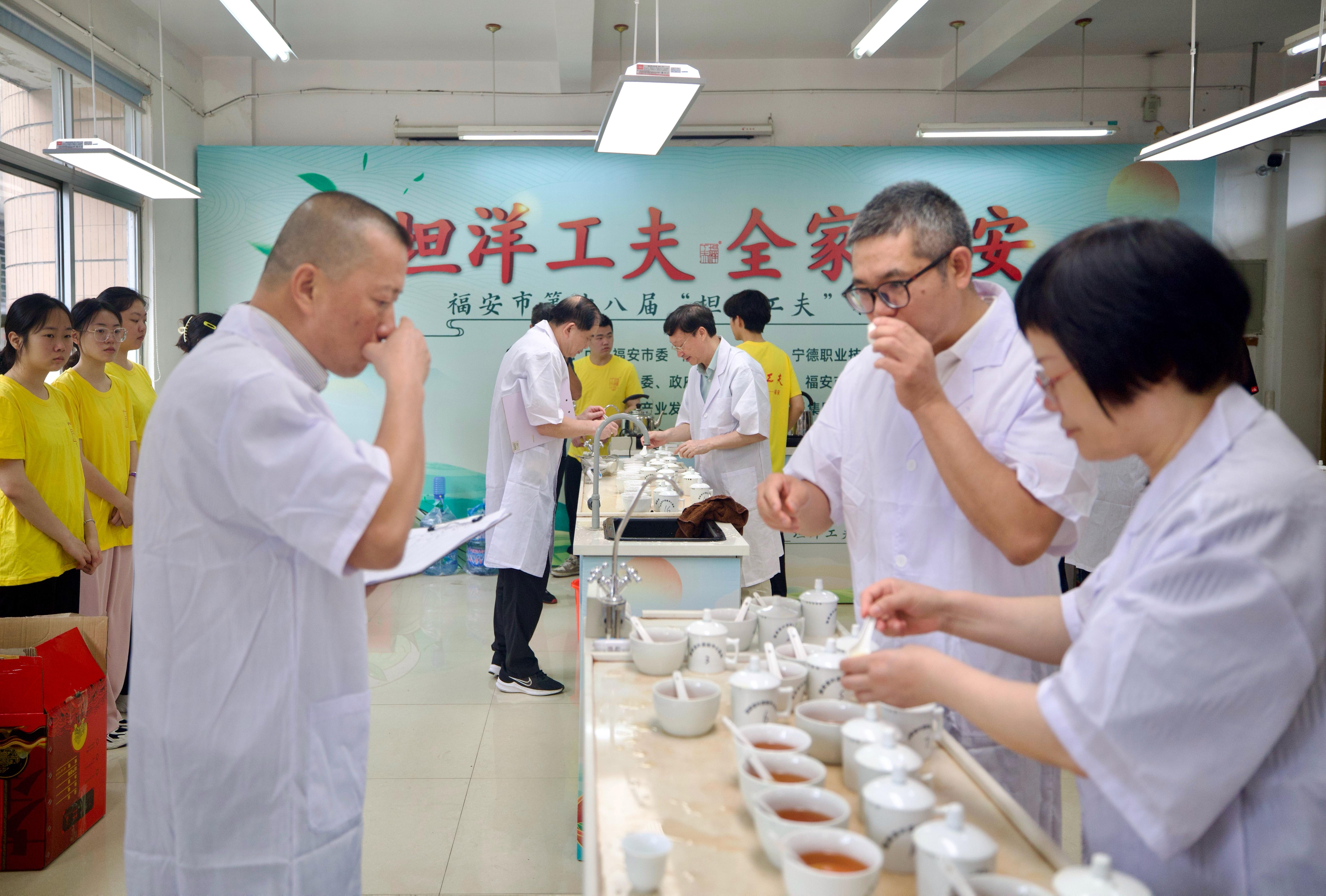 闽人智慧丨一杯坦洋工夫里的醇厚牵挂与富民产业(图6)