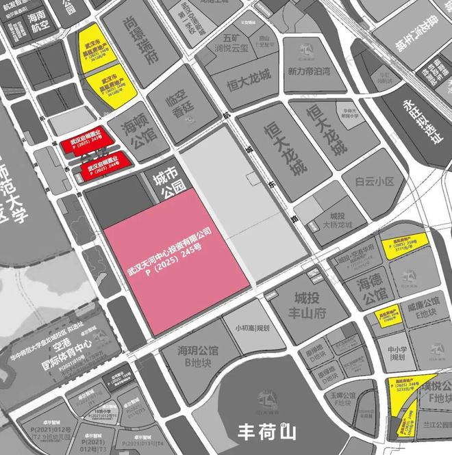 kaiyun入口：天河国际会展中心项目地块再出让成交本土企业抗下了所有(图2)