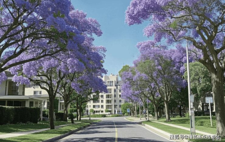 成都【建发招商源启金沙】售楼处电话(已认证)!项目总价区间丨最新售价丨户型亮点丨项目分析丨优惠详情(图12)