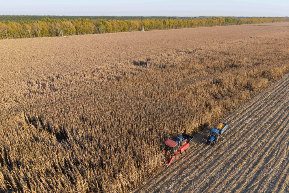 kaiyun：镜观中国｜影像回眸“十四五”——全面深化改革扩大高水平开放(图10)